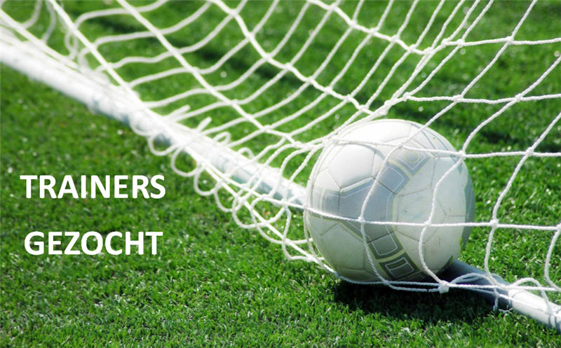 Trainer gezocht voor LSV 2!