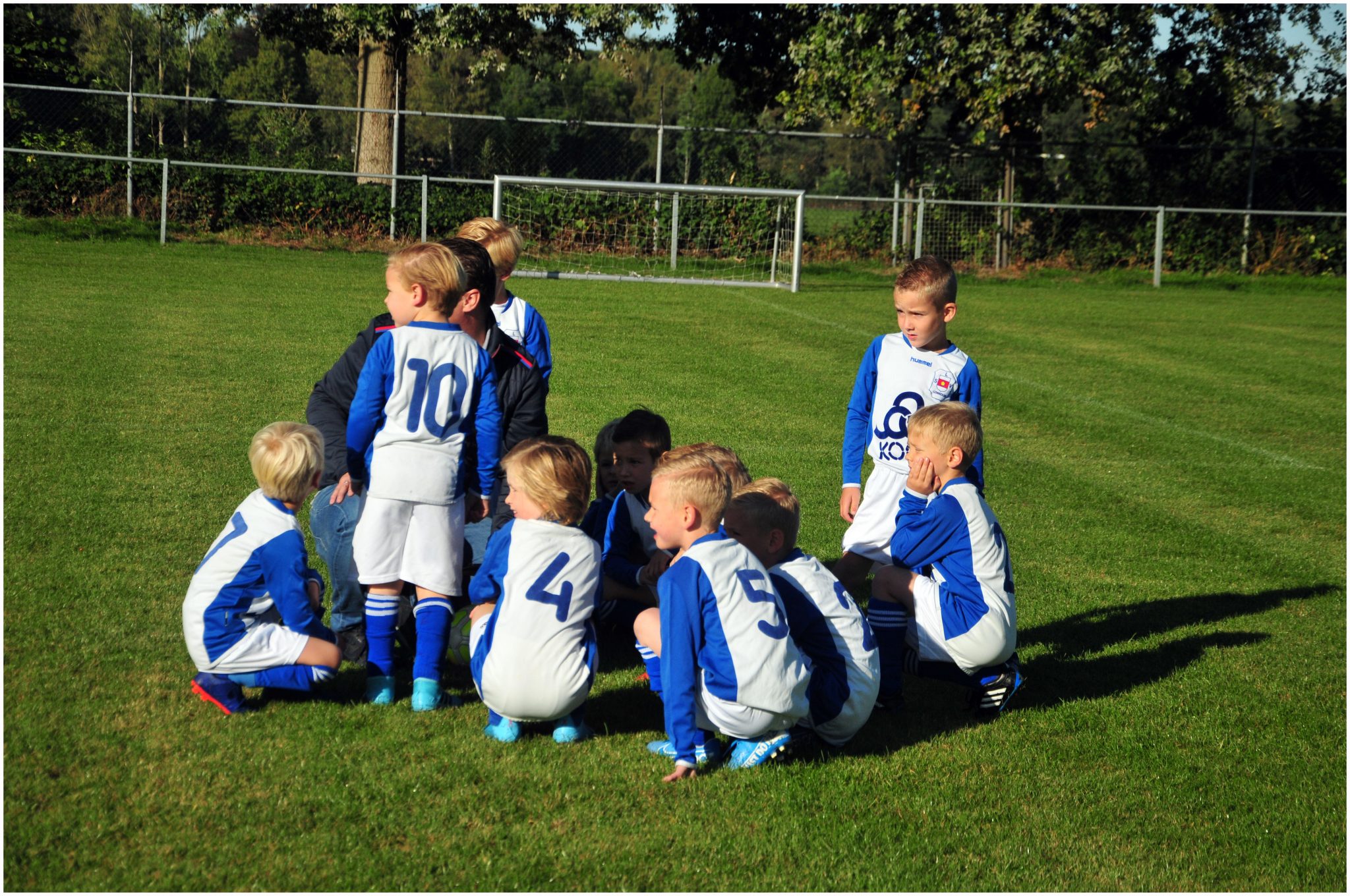 Nieuwe website